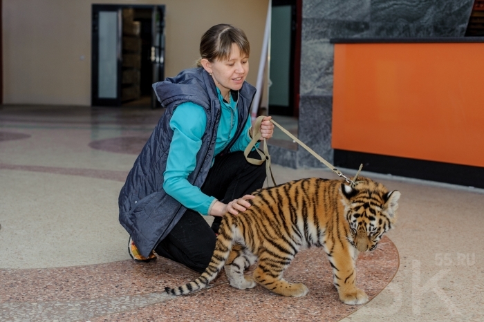 фото предоставлено Омским цирком