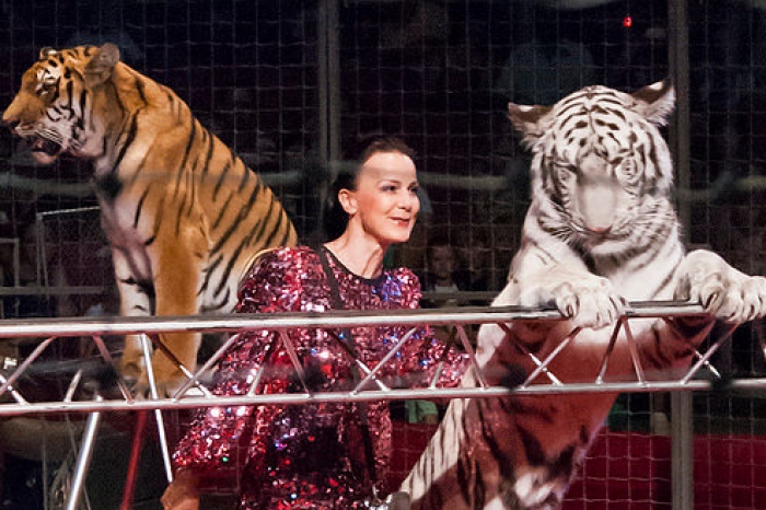 фото из открытых интернет-источников